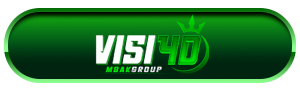 VISI4D Logo
